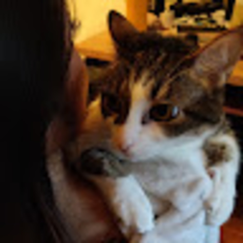 Meet your Posher, Tammy